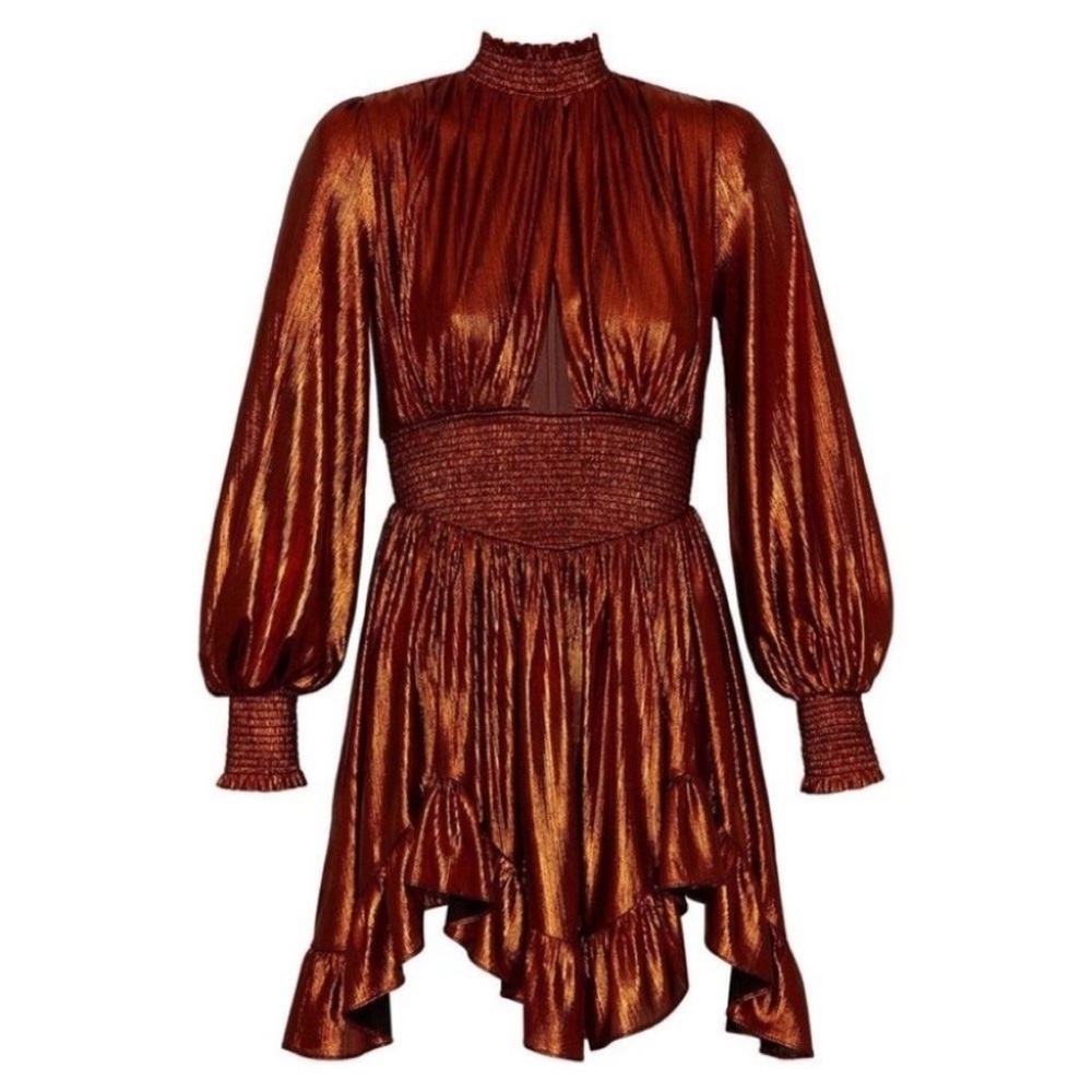 NWT Retrofete Melody Mini Dress in Rust XS - Picture 6 of 8